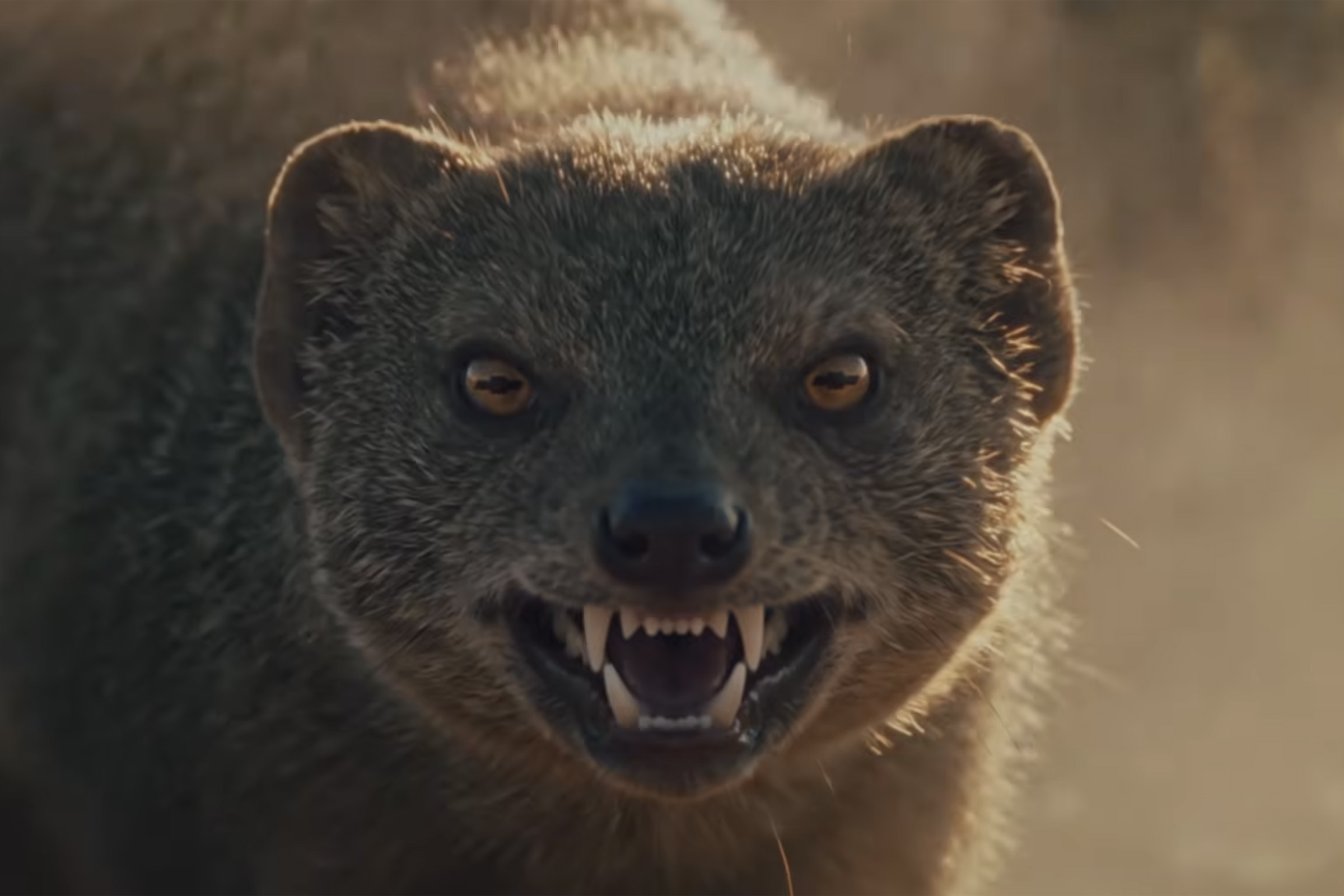GM's New 8.3L Duramax Mongoose: What We Know So Far