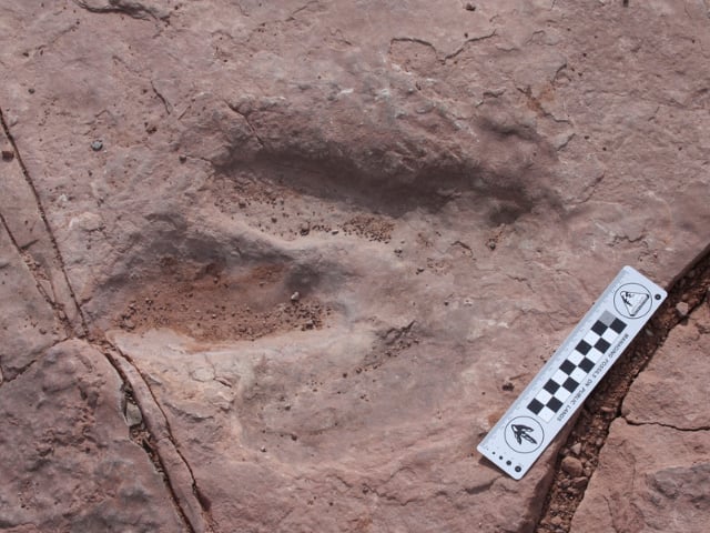 The BLM Needs Your Help To Find Stolen Moab Area Dinosaur Print