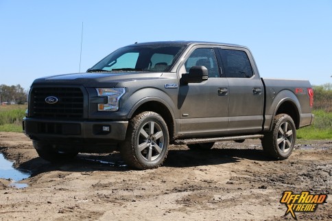 2015 Ford F150: What Do You Want To Know?