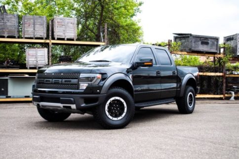 Ever Dreamed of Owning a Raptor? Now is The Time to Buy One